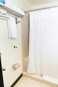 圣萨尔瓦多Plaza Hotel and Suites的一间带白色淋浴帘的浴室