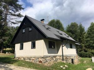 伊泽拉河畔维索克Chalupa pod sjezdovkou的屋顶上有一个黑色屋顶的房子
