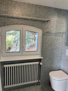 PuidouxRoom with 360° view overlooking Lake Geneva and Alps的一间带卫生间和窗户的浴室