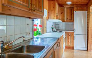 斯特伦松德Cozy Home In Strmsund With Lake View的厨房配有水槽和冰箱