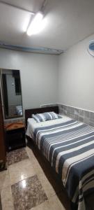 阿里卡Hostal 921 apocento的一间卧室配有一张大床和镜子