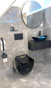 多特蒙德Phöenixpalace Whirlpool & Infarotsauna的浴室设有黑色的卫生间和镜子