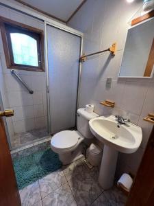 拉斯特朗卡斯Cabañas Bosque las Trancas的浴室配有卫生间、盥洗盆和淋浴。