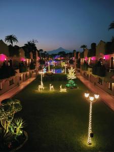 科尔多瓦Suites Layfer, Córdoba, Veracruz, México的夜晚在草地上点亮的花园