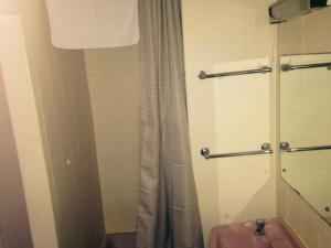 布莱克浦Peek-a-Booze - Budget Hotel - Adults Only的浴室配有淋浴帘和盥洗盆。