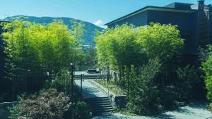 箱根Hakone Gora KARAKU的一条有树木和栅栏的楼梯和一个建筑