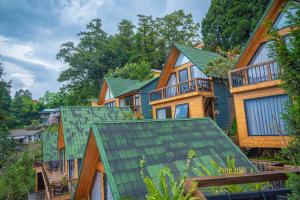 萨帕Sapa Pine Hill Eco Lodge的一排有绿色屋顶的房屋