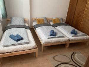 巴拉顿菲兹弗Fűzfőfürdői Szálláshely Balatonfűzfő的客房内的3张床和蓝色枕头