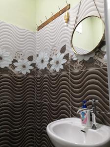 淡马鲁Darney's Homestay Kg Bangau Tanjung的一间带水槽和镜子的浴室