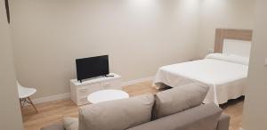 阿尔巴塞特Apartamentos Ilustración的带沙发、电视和床的客厅