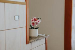 戈斯皮奇I&T apartman的浴室内的一个盆子上的花