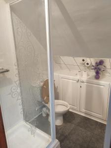 阿伯克拉夫彭特利马术酒店的一间带卫生间和玻璃淋浴间的浴室