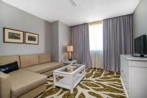 加亚新城波尔图盖亚假日酒店的带沙发和电视的客厅
