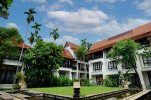 清迈Bodhi Serene, Chiang Mai - SHA Extra Plus的棕榈树建筑的庭院