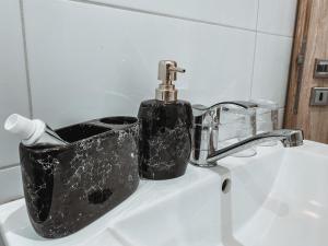 班斯卡-比斯特里察Cozy B&B Home的浴室水槽和黑色肥皂喷雾器