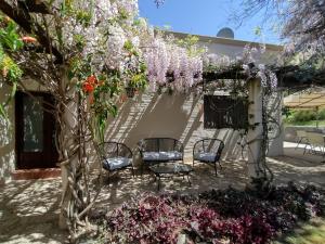 圣萨尔瓦多德朱CampoMora- 5 min del Centro - CONFORT - Parrilla & Pileta的庭院设有两把椅子和一棵鲜花树