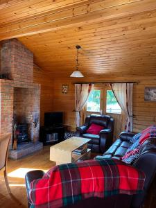 戈尔韦Red Squirrel Lodge的客厅设有两张沙发和一个壁炉