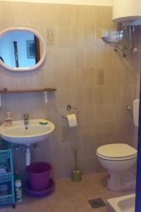 乌格连Apartments with a parking space Ugljan - 15613的一间带水槽、卫生间和镜子的浴室