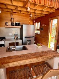 亚坎托Mandala Tiny House, Traslasierra.的厨房配有水槽和不锈钢冰箱