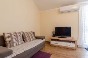 普利兹巴Apartment Prizba 16268c的带沙发和平面电视的客厅