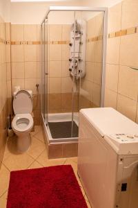 塞格德Darling Apartman的带淋浴、卫生间和红色地毯的浴室
