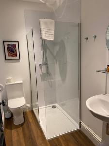 安斯特拉瑟Balcomie Links Hotel的带淋浴、卫生间和盥洗盆的浴室