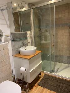 若西耶Magnifique appartement 8 couchages dans villa historique的一间带水槽和淋浴的浴室