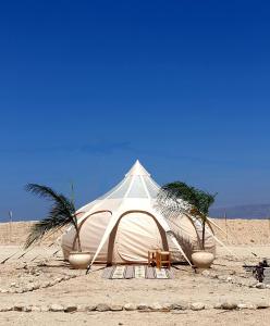 Metsoke DragotTRANQUILO - Dead Sea Glamping的海滩上的白色帐篷,两棵棕榈树