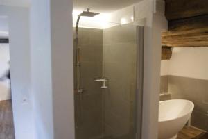 波斯基亚沃Charming 3½ room cottage in Valposchiavo的浴室里设有玻璃门淋浴