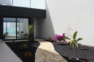 拉奥利瓦Villa Sol Fuerteventura的旁边是种植物的房子