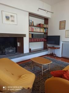 松德里奥B&B VILLA DIEGO的带沙发和壁炉的客厅