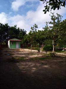CruzMila chalé的树木林立的田野中间的小建筑