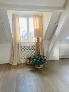 根特Maison d'Artiste的一间带窗户和盆栽植物的客厅