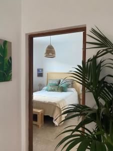 戈梅拉岛圣塞瓦斯蒂安Casa Doris的一间卧室配有一张床和盆栽植物