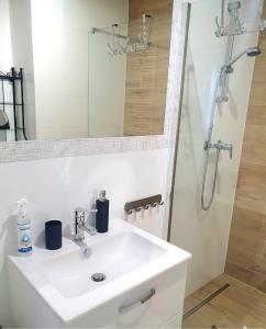 埃尔布隆格Apartament Amber Dwie Sypialnie Stare Miasto的浴室配有白色水槽和淋浴。