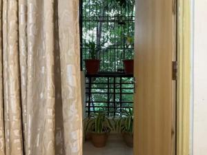 瓦拉纳西R.H.S VILLA的一间设有盆栽窗户的房间
