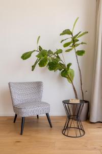 锡拉库扎La Vacanza Ortigia的椅子和桌子旁的植物