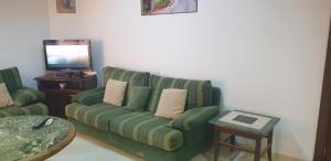 突尼斯Le Palace Clinique Jasmin Carthgene Pasteur的客厅配有绿色沙发和电视