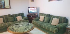 突尼斯Le Palace Clinique Jasmin Carthgene Pasteur的客厅配有两张绿色沙发和一台电视