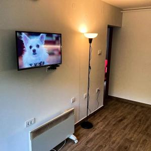 NemenikućeKosmajski raj的墙上的电视,上面有一只白色的狗