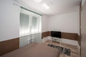 艾尔德贝涅JóKissHely Vendégház的一间卧室设有一张床、一台电视和一个窗口。