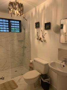 苏莎亚Villa Mar Sosua的浴室配有卫生间、淋浴和盥洗盆。