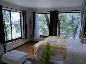 圣何塞德迈波BORDEMAIPO LODGE的一间卧室设有一张床和大窗户