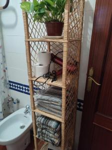布维翁Casa Alpujarreña Fina Número 27的一个带毛巾和植物的浴室内的竹架