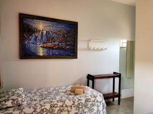 戈亚斯州上帕莱索Atelier & Pousada Chapada的卧室配有壁画和床