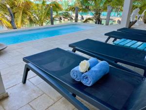 克拉伦代克Caribbean Lofts Bonaire的两条蓝色毛巾坐在泳池旁的长凳上