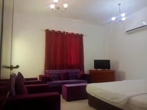 拉斯阿尔卡麦Oasis Hotel Apartment的一间卧室配有一张床、一张沙发和一台电视。