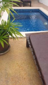涛岛查利萨苏梅岛别墅酒店的盆栽植物旁的带长凳的游泳池