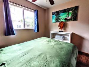 Santa YsabelThe Luminous Lodge-Remodeled Cabin W/ Valley Views的一间卧室设有一张绿色的床和一个窗户。
