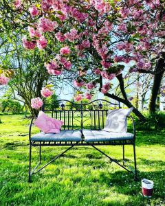 费马恩Feriengut Neuhof的坐在树下,长着粉红色花的长凳